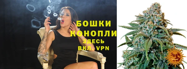 дживик Богородицк