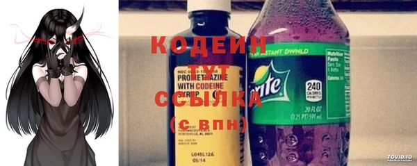 дживик Богородицк