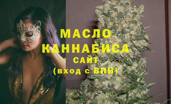 дживик Богородицк