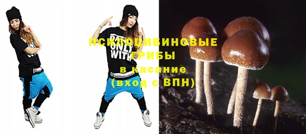 дживик Богородицк
