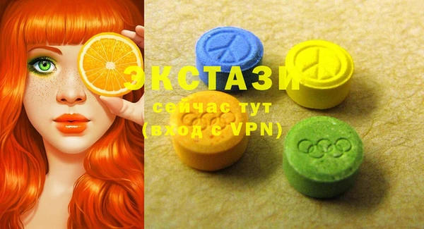 дживик Богородицк