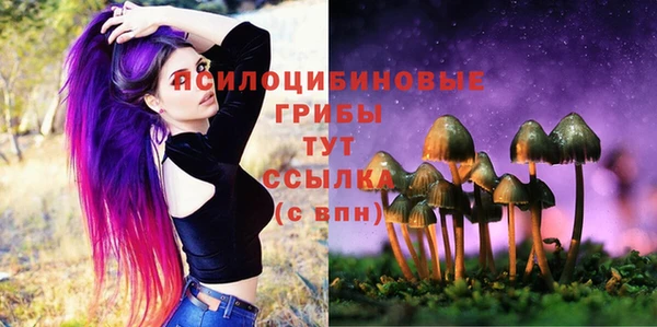 дживик Богородицк