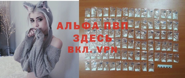 дживик Богородицк