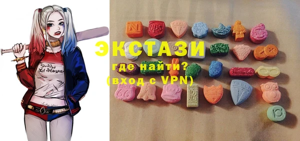 дживик Богородицк