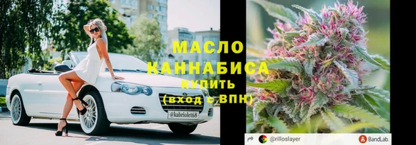 дживик Богородицк