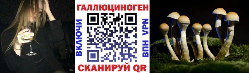 Псилоцибиновые грибы MAGIC MUSHROOMS  наркотики  Кохма 